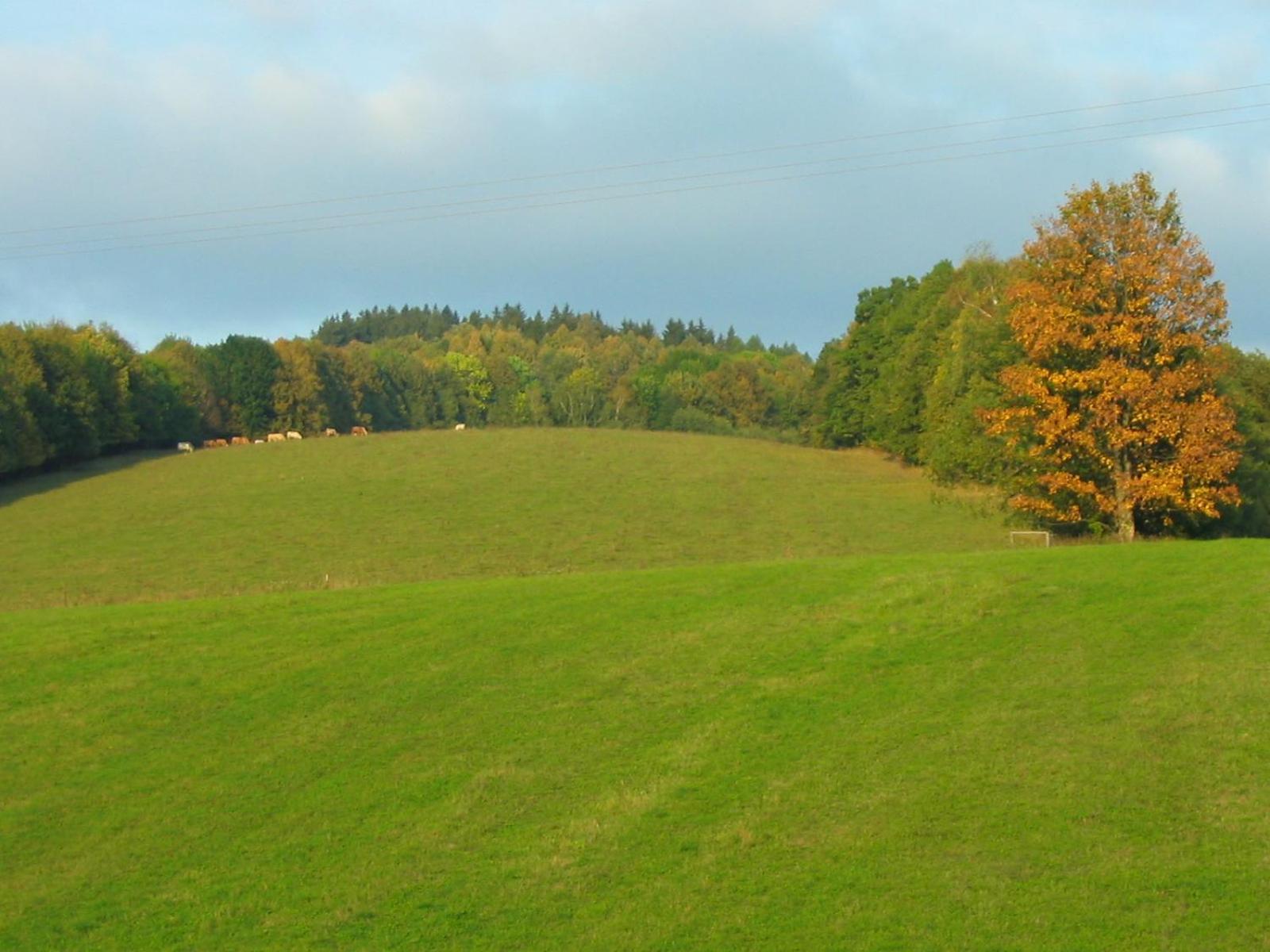 Penzion Svet Sobotín Exteriér fotografie